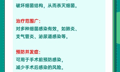 权威看背影的效果是什么平台,分享专业看着背影知识_看背影的效果网
